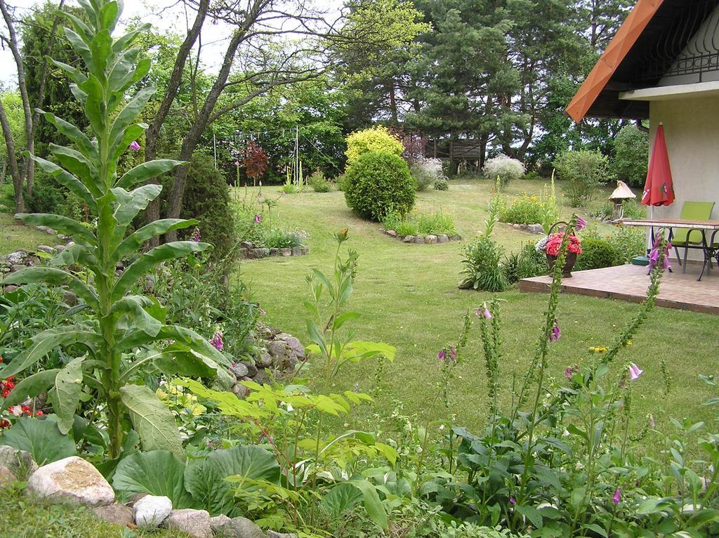 Domek Pod Klonami Na Mazurach Guty 外观 照片